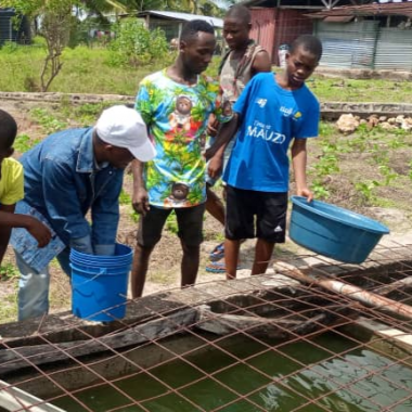 Malaika Kids visbassin